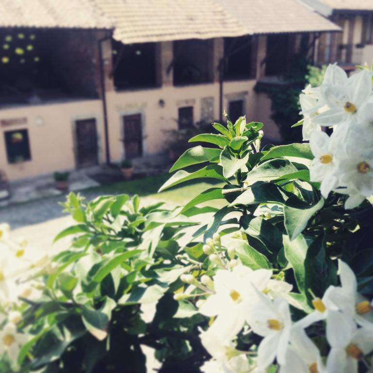 Agriturismo Cascina Magana Burago di Molgora Kültér fotó